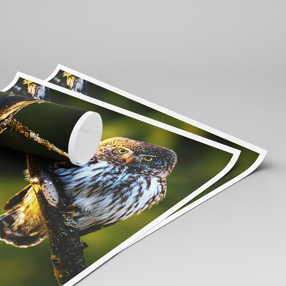fine_art_poster-1.jpg